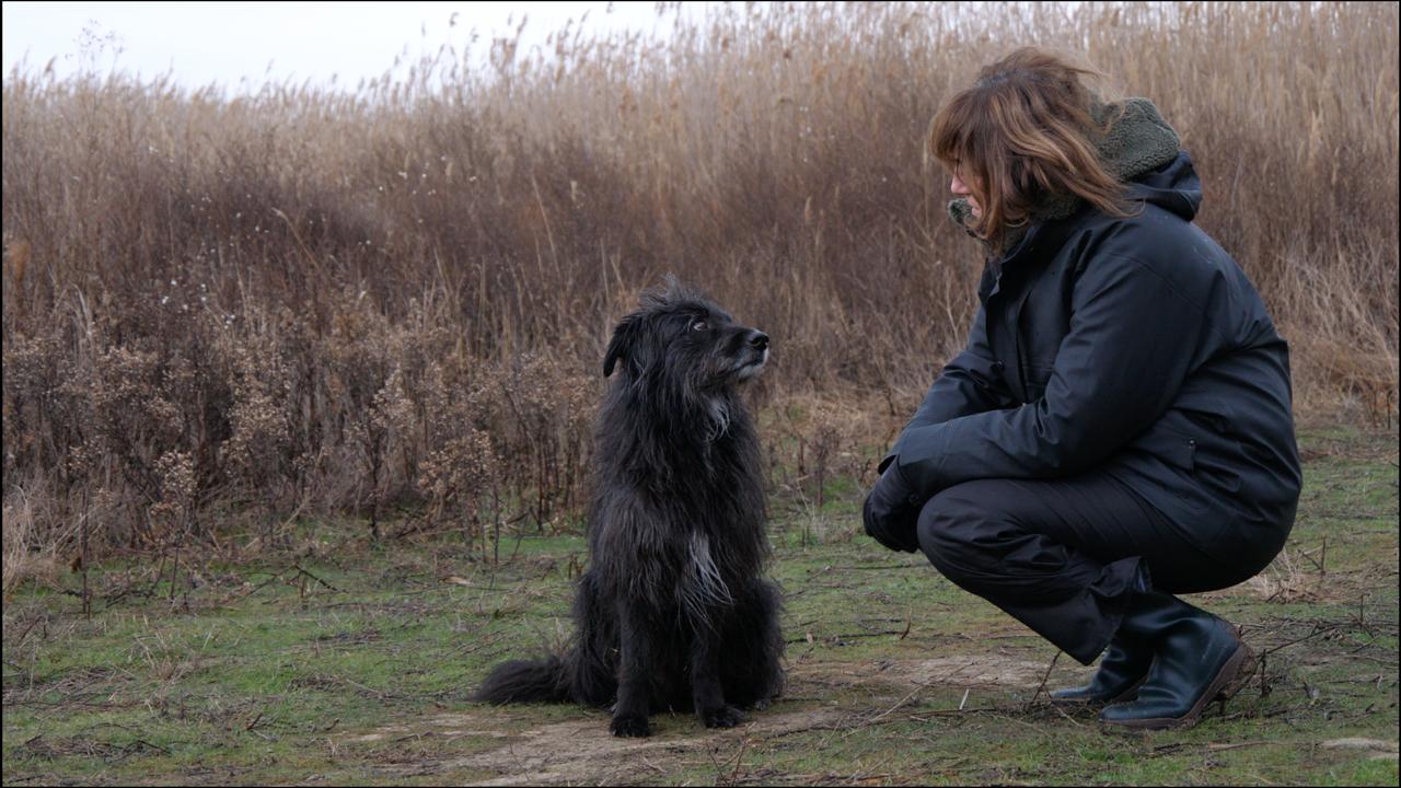 Valérie Recher mise en scène animalière